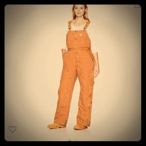 Carhartt  Bib Overalls-insulated